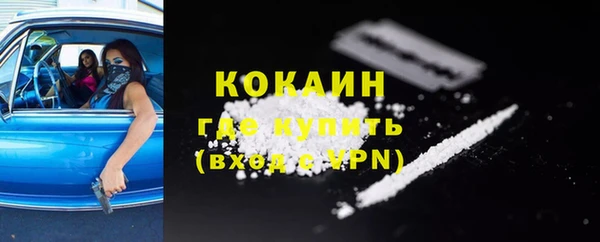 МДПВ Каменногорск