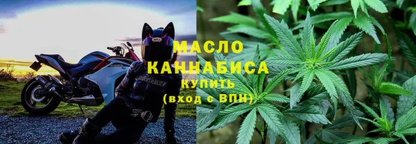 МДПВ Каменногорск